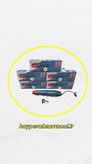 قیمت و خرید سشوار قلمی باس مدل 3_205